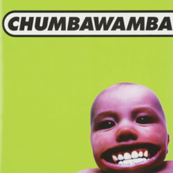 songs_chumbawamba.png