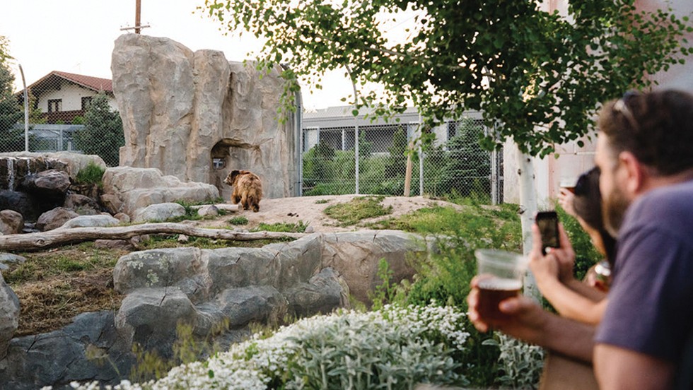 A night of beer necessities at - Hogle Zoo - VISIT SALT LAKE_AUSTENDIAMONDPHOTOGRAPHY