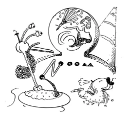 SLUG SIGNORINO