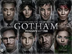 gotham_640x480_dc_53e530051f2856.47445235.jpg