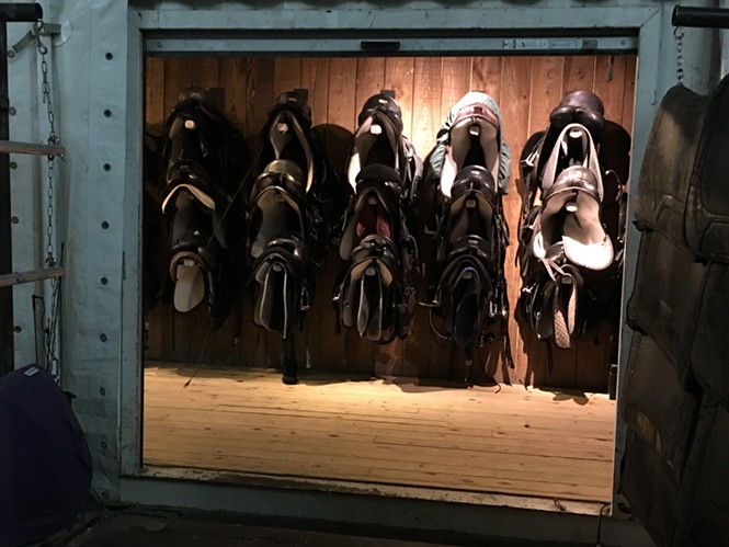 Odysseo's tack room - JERRE WROBLE