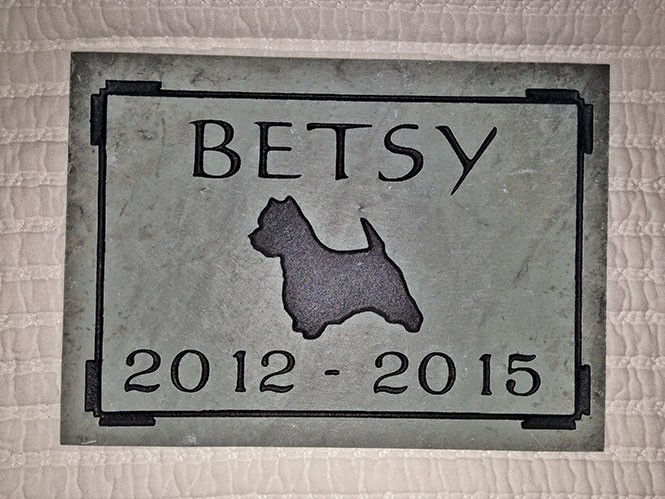 betsy-the-dead-dog.jpg