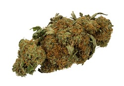 600px-marijuana-cannabis-weed-bud-gram.jpg