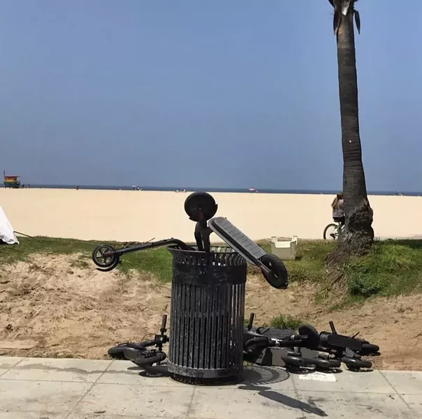BIRD GRAVEYARD/INSTAGRAM