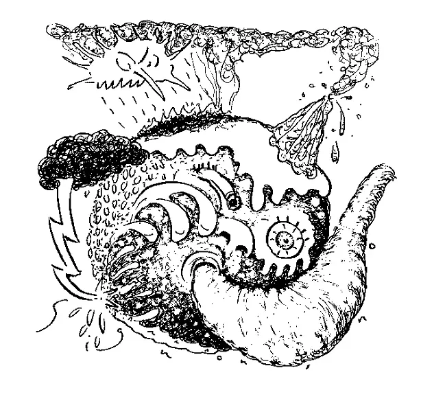 SLUG SIGNORINO