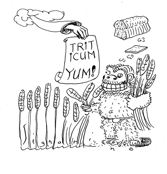 SLUG SIGNORINO