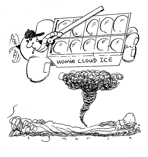 SLUG SIGNORINO