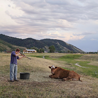 Adam, a Wyoming schoolteacher, helps the Mortensen family kill and butcher a Hereford cow. The Mortensens own the last remaining ranch within Afton town limits. Their neighbors sold and developed the surrounding property during the housing boom of the past decade.