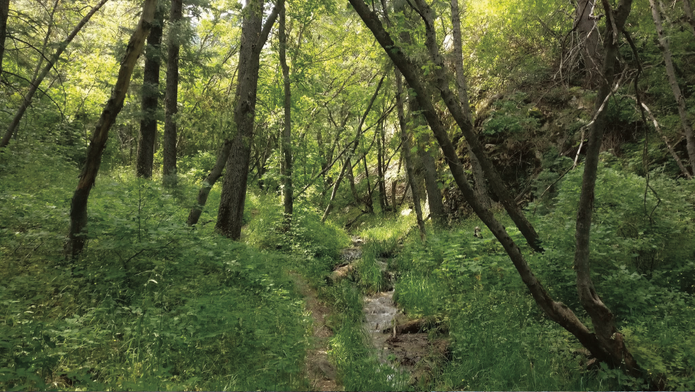 Although $435,000 in LWCF money has been put toward the Coldwater Forest Legacy Project in Northern Utah, conservation advocates say there is still a need for funds to complete the project.