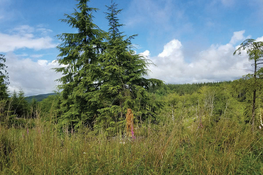 A tribute to Bigfoot spotted outside of Raymond, Wash. - LAURA KRANTZ