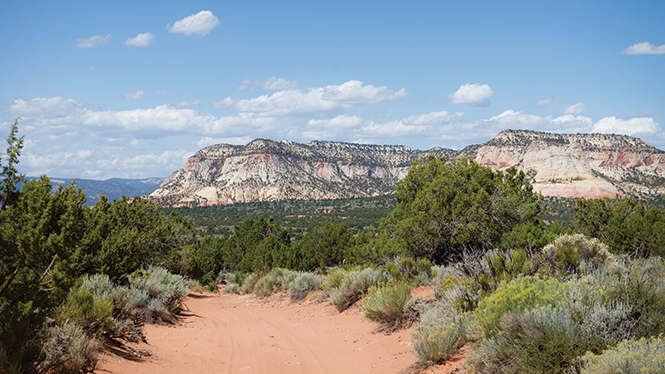 The land around Red Knoll - in Kanab - TARA LOHAN