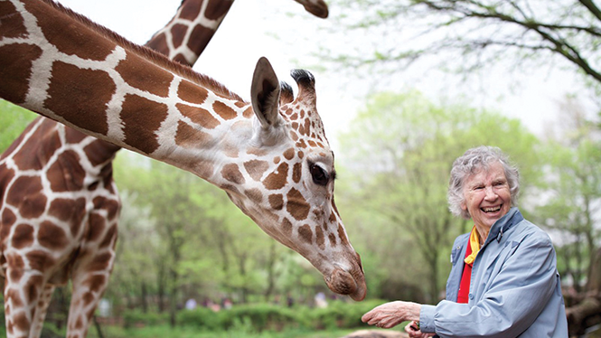 Dr. Anne Innis Dagg (and friend) in The Woman Who Loves Giraffes - KINO LORBER FILMS