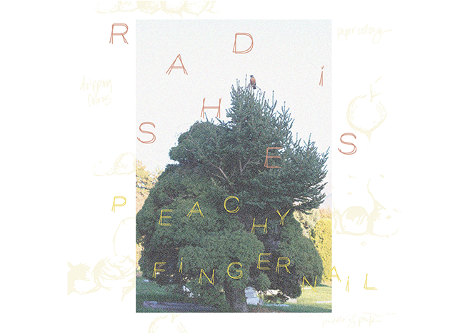music-feature_peachy-fingernail---radishes-album-art.png