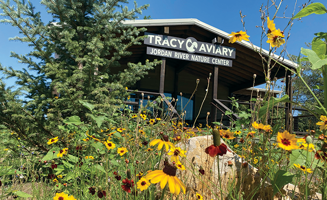 TRACEY AVIARY