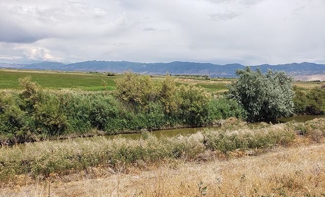 The  Goggin Drain and Lee Creek provide water for the Great Salt Lake’s shoreline ecosystems