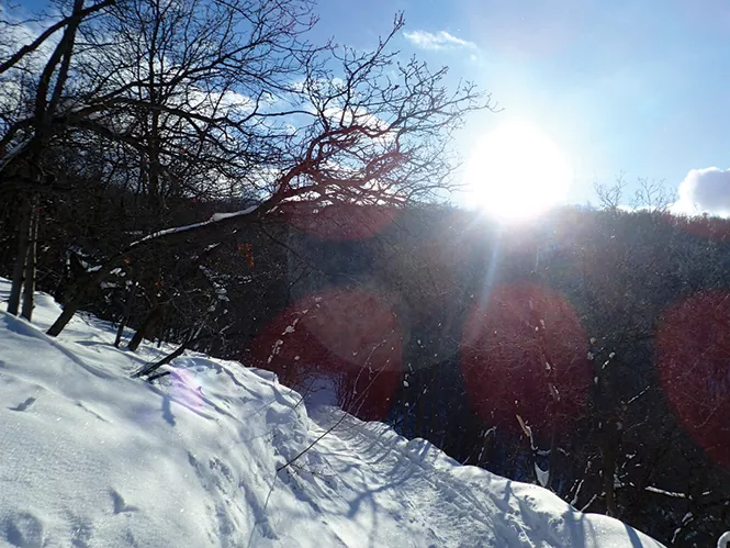 a_e_feature1-1-1436f248bef4a153.jpg