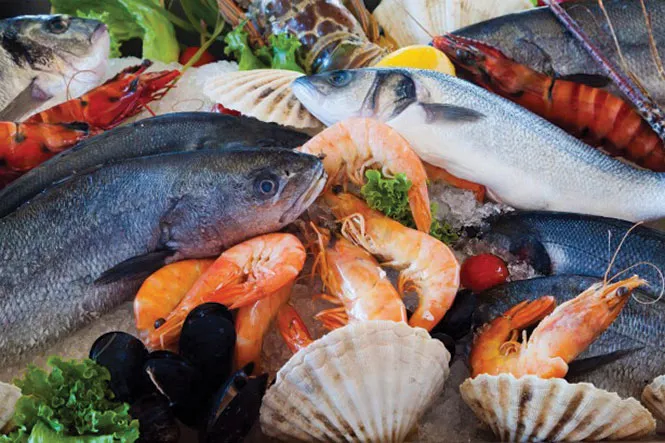 dining_foodmatters1-1-ce1d639ce308ae6a.jpg
