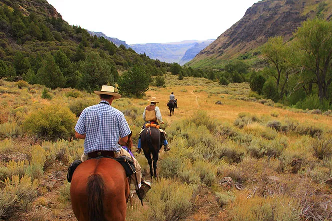 horses_in_wilderness_11573036646_.jpg
