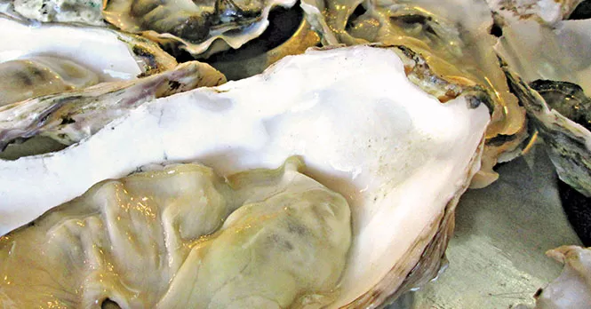 Oysters on the half-shell at Current Fish & Oyster - DEREK CARLISLE