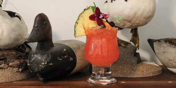Knickerbocker à la Monsieur - DARBY DOYLE