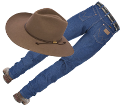 countryfest_sub23.png