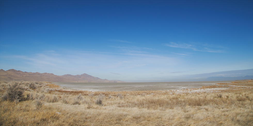 A view of the city’s Northwest Quadrant from the Gillmor Audubon Sanctuary. - SARAH ARNOFF