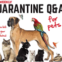Quaratine Pet Questionnaire.