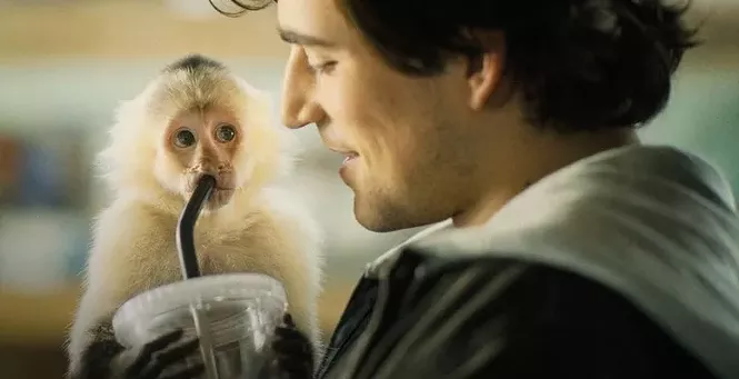 Movie Reviews: New Releases for Sept. 2 - Vimarsana News
