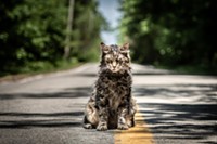 Movie Reviews: Pet Sematary, Shazam, Dragged Across Concrete, The Best of Enemies