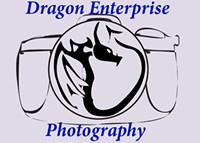 dragon_enterprise_logo_gray_png-magnum.jpg