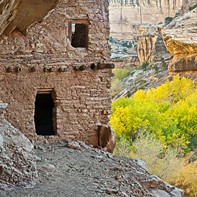 Bears Ears Designation Reactions