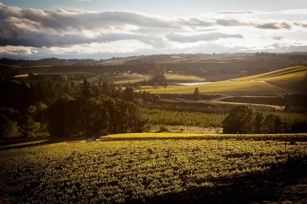 Willamette Valley Vineyards