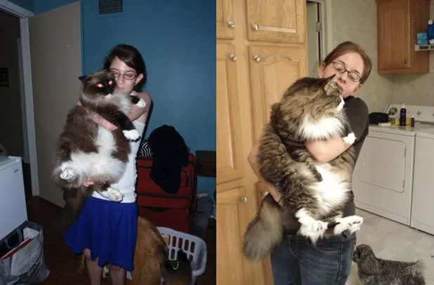 fatcats-andychubbers.jpg
