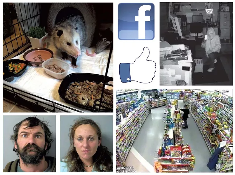 A rescued opossum, mugshots and photos of crimes in progress from the South Burlington Police Department's Facebook page