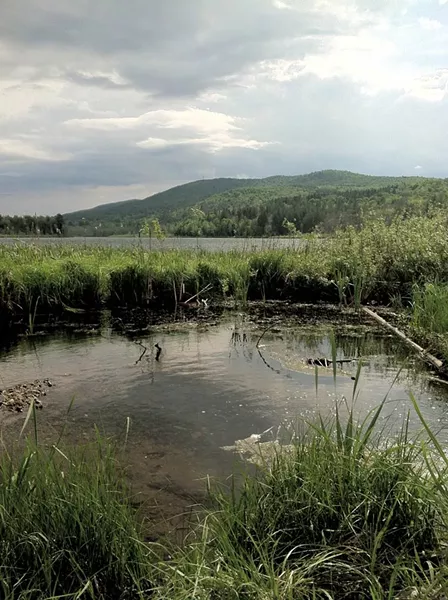 Berlin Pond - COURTESY OF BETH GARBITELLI