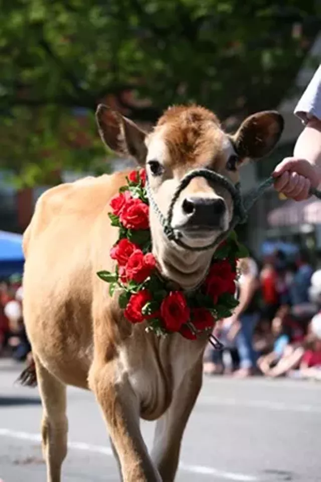 brattleboro guys Vermont welcomes gay and lesbian travelers find out everything you need to plan your trip or gay wedding in vermont. brattleboro guys Vermont welcomes gay and lesbian travelers find out everything you need to plan your trip or gay wedding in vermont.
