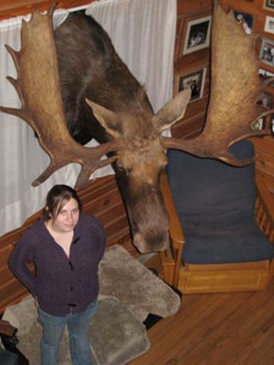 MIKE IVES - Casey Hamwey and her moose