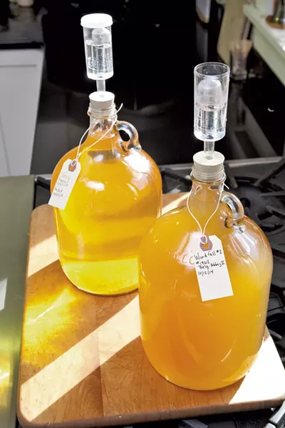 Fermenting cider - MATTHEW THORSEN