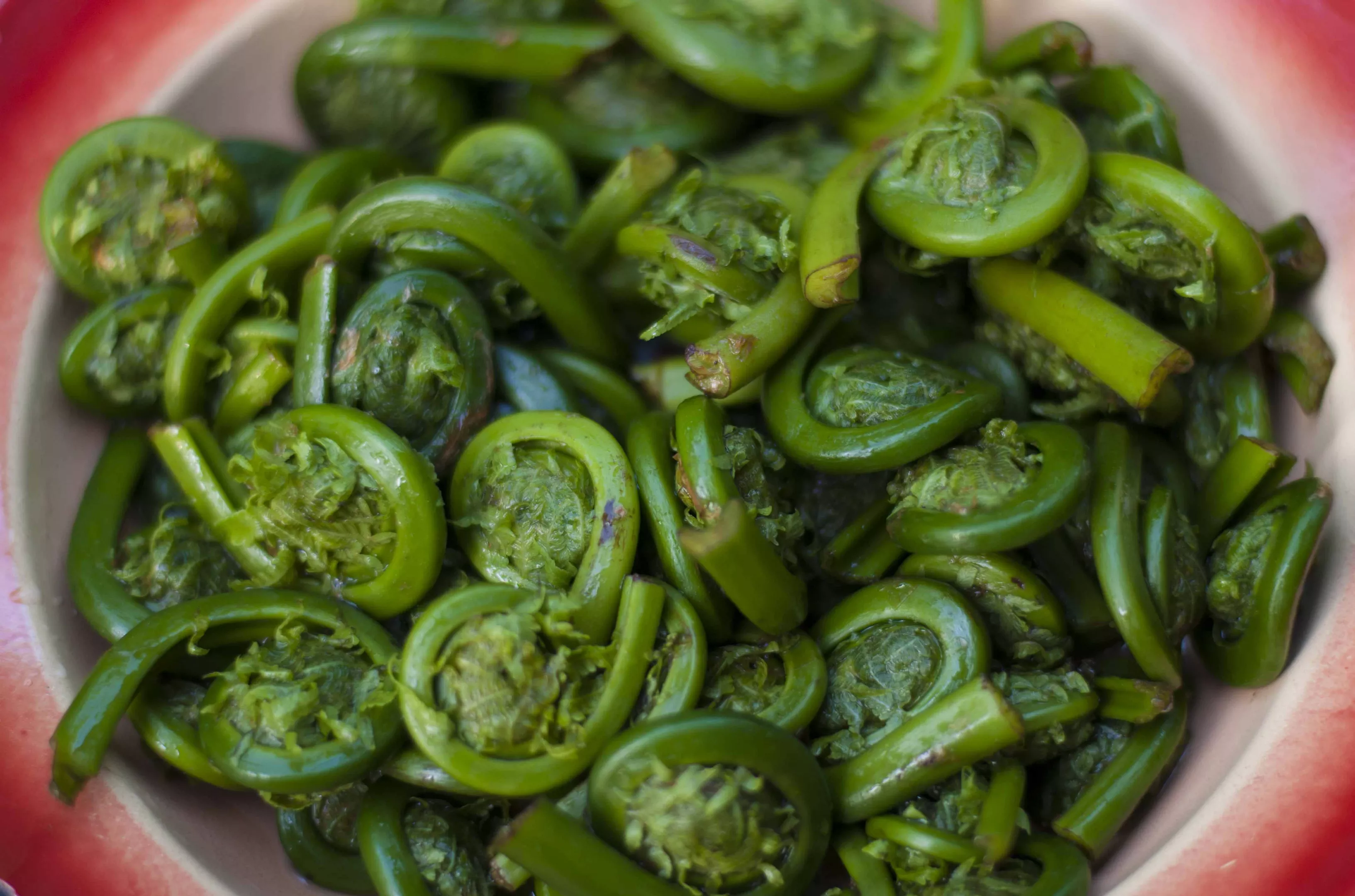 Farmers Market Kitchen Grilled Fiddleheads Bite Club