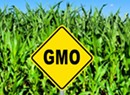 Food Manufacturers to Appeal Ruling in Vermont GMO Case