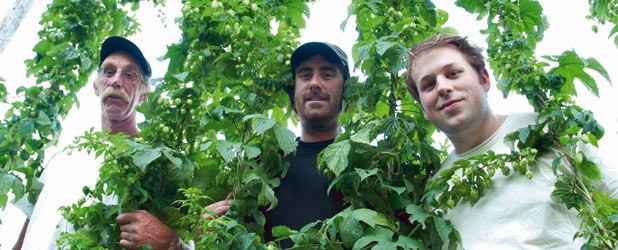 Ian Birkett, in black, his dad Joe Birkett (in glasses) and Fletcher Bach operate Square Nail Hops Farm in Ferrisburgh.