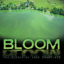 250sota-bloom.jpg