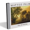 Matteo Palmer, Out of Nothing