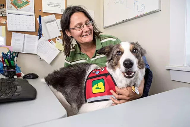 new leash on life dogs