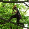 New England ISA Tree Climbing Championship [SIV355]