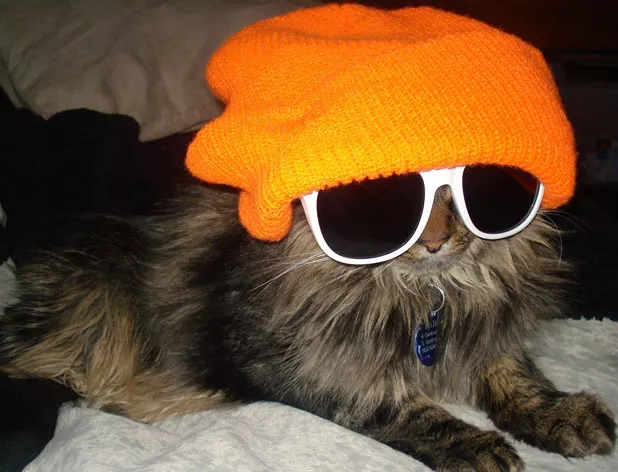 best-dressed.jpg