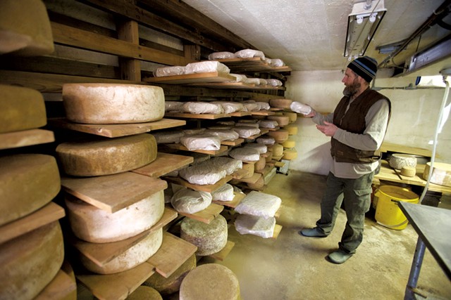 Peter Dixon in his Westminster West cheese cave - DAVID SHAW