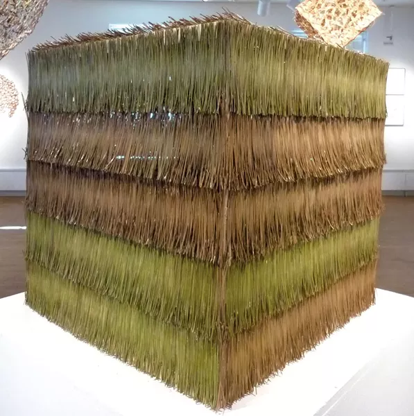 "Pinecube" by Gowri Savoor