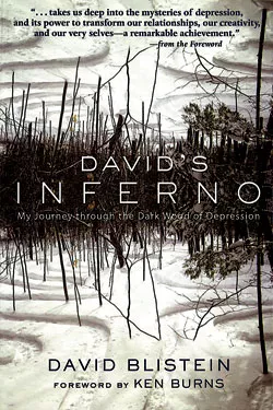 sota-davidsinferno-100213.jpg