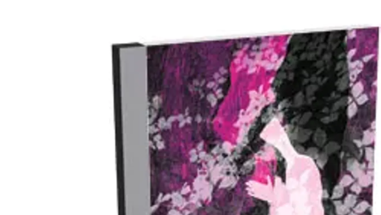 Rubblebucket, Omega La La Album Review Seven Days Vermont's